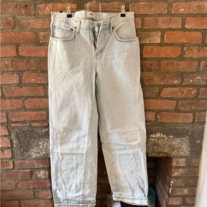 AGOLDE low rise wide leg jeans